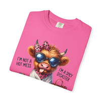 I'm Not a Hot Mess, I'm a Spicy Disaster - Comfort Colors | Trendy Women's T-Shirt. Direct to Garment. Printed & Shipped in the USA. Unisex Sizes.