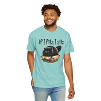 If I Fits I Sits, Cat in a Box - Comfort Colors | Trendy Women's and Men's T-Shirt. Direct to Garment. Printed & Shipped in the USA. Unisex Sizes.