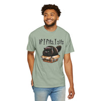 If I Fits I Sits, Cat in a Box - Comfort Colors | Trendy Women's and Men's T-Shirt. Direct to Garment. Printed & Shipped in the USA. Unisex Sizes.