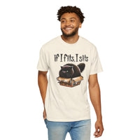 If I Fits I Sits, Cat in a Box - Comfort Colors | Trendy Women's and Men's T-Shirt. Direct to Garment. Printed & Shipped in the USA. Unisex Sizes.