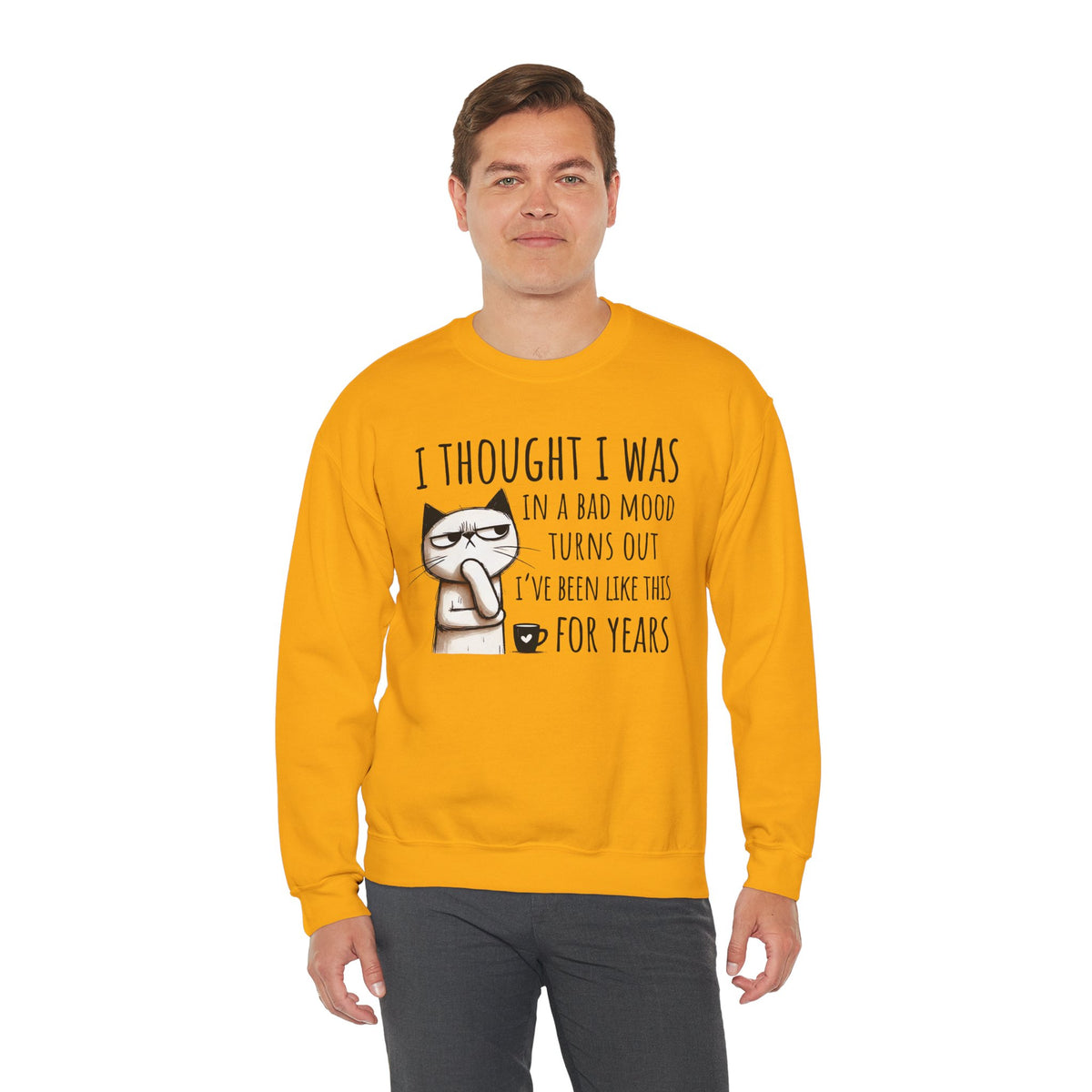 I Thought I Was In A Bad Mood, Grumpy Cat – Gildan Heavy Blend | Trendy Men's and Women’s Soft Sweatshirt. Direct to Garment. Printed & Shipped in the USA. Unisex Sizes.