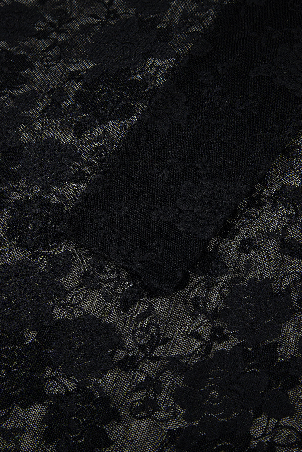 Sheer (Black) Floral Lace Mesh Mock Neck Long Sleeve Top
