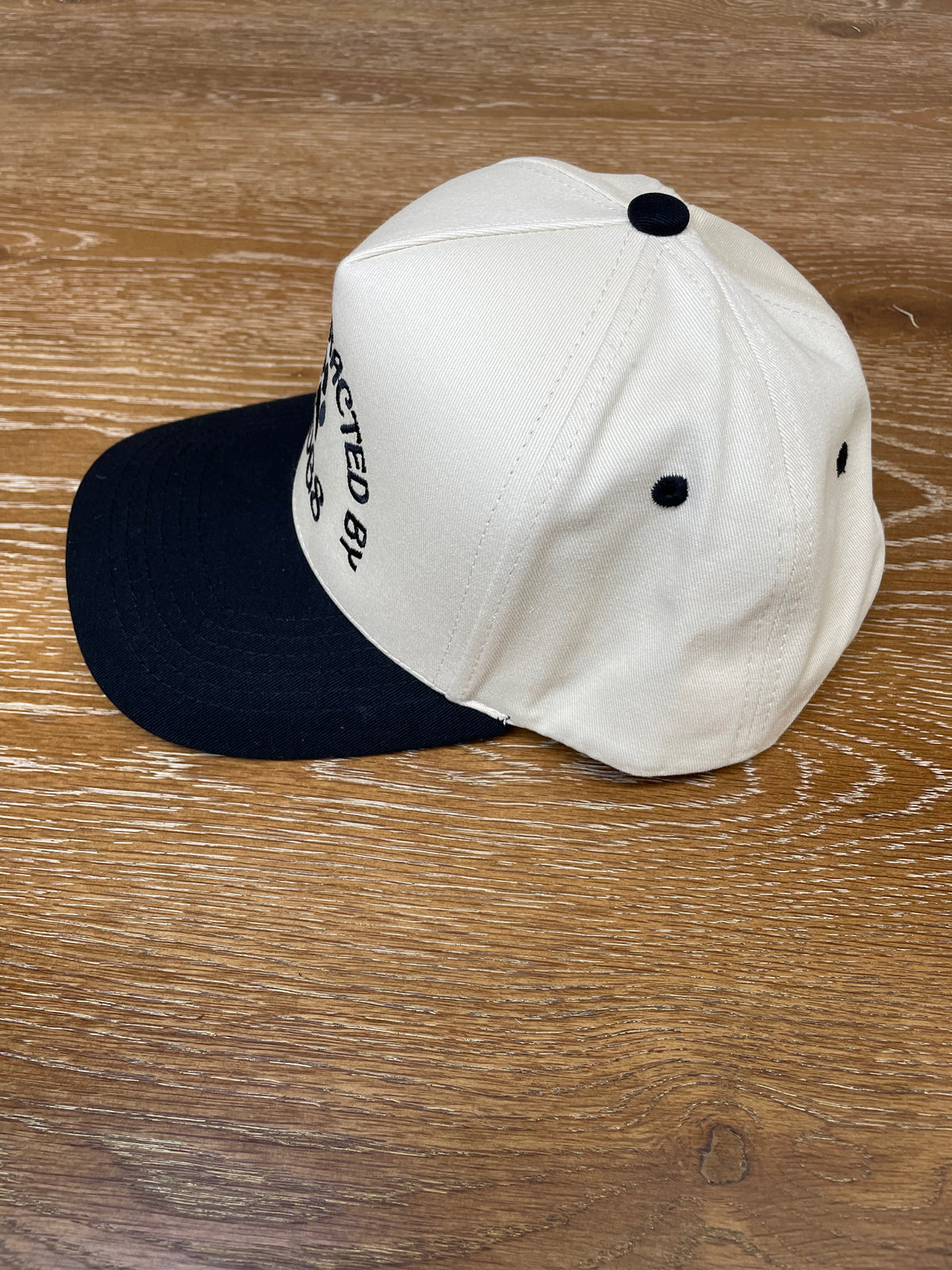 Embroidered (Tan & Black) Easily Distracted By Dogs Snapback Hat