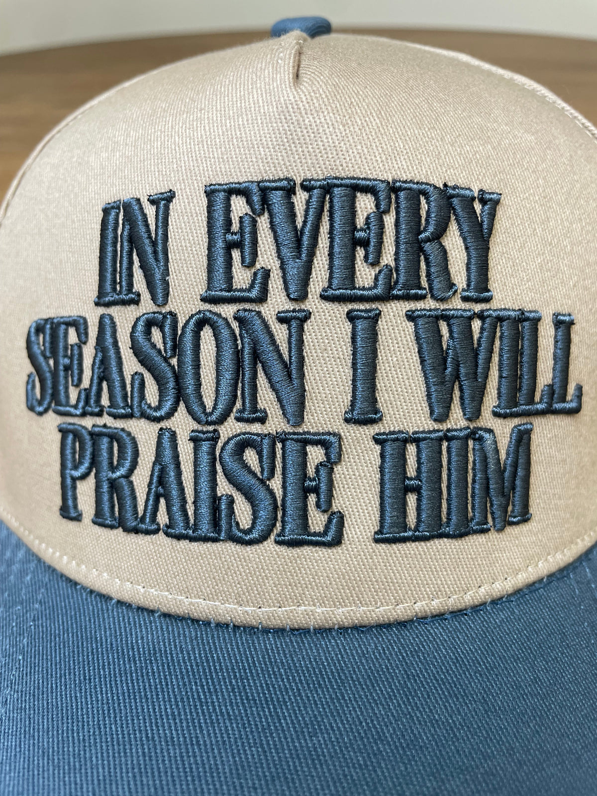 Embroidered (Blue) In Every Season I Will Praise Him Snapback Hat
